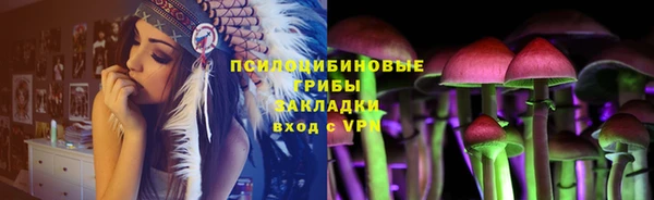 тгк Липки