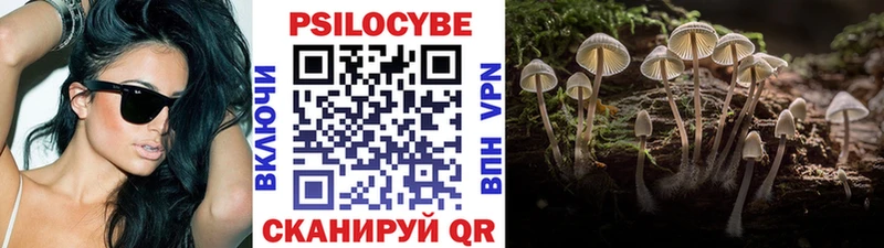 цена   Дербент  Галлюциногенные грибы Psilocybine cubensis 