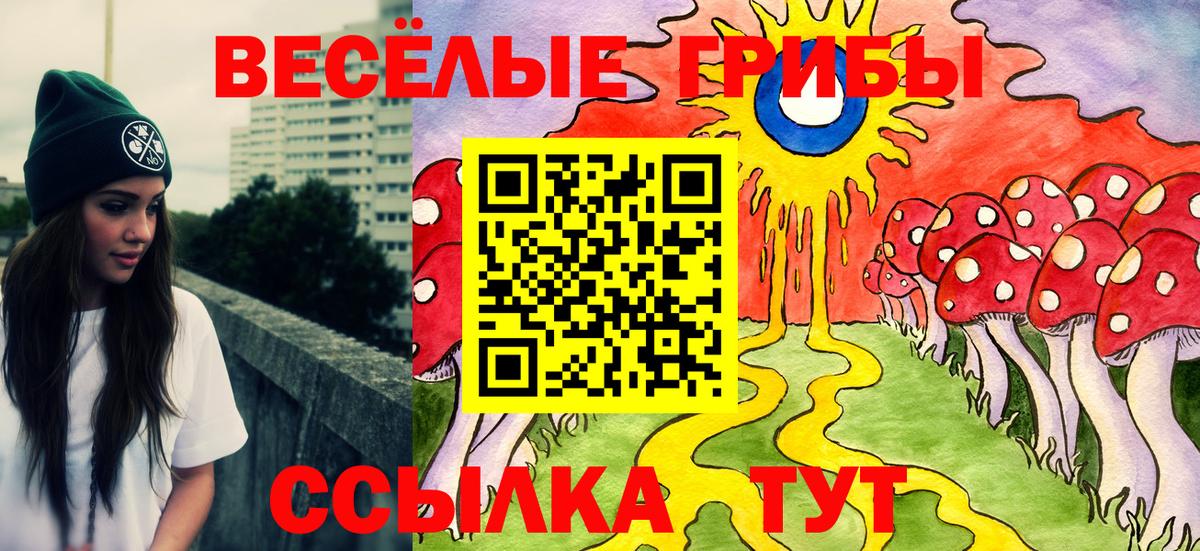 Галлюциногенные грибы ЛСД Дербент