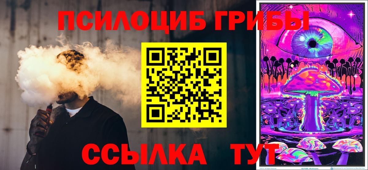 Псилоцибиновые грибы MAGIC MUSHROOMS  Галлюциногенные грибы Cubensis  Дербент 