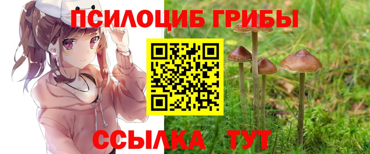 Псилоцибиновые грибы Cubensis  Вход с VPN  цены наркотик  Дербент 