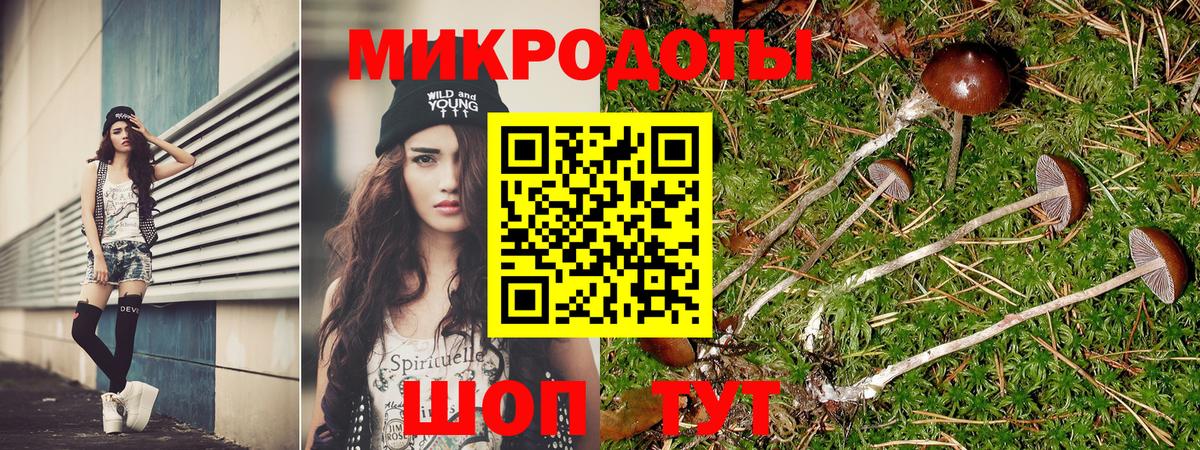 Псилоцибиновые грибы Magic Shrooms Дербент